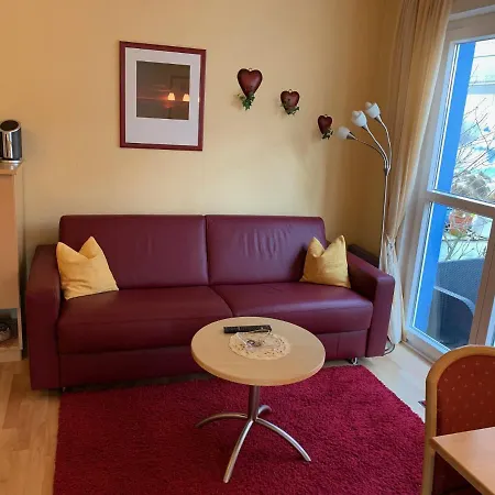 Strandflieder Norderney